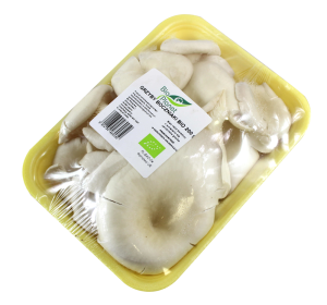 GRZYBY BOCZNIAKI ŚWIEŻE BIO (POLSKA) (około 0,20 kg)