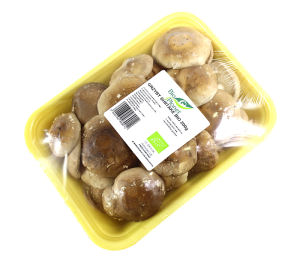 GRZYBY SHIITAKE ŚWIEŻE BIO (POLSKA) (około 0,20 kg)