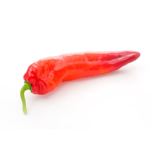 OPAKOWANIE ZBIORCZE (kg) - PAPRYKA DŁUGA ŚWIEŻA BIO (około 4 kg)