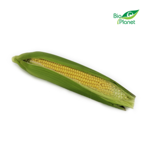 KUKURYDZA ŚWIEŻA BIO (około 0,30 kg)