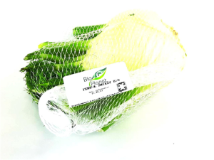 KOPER WŁOSKI ŚWIEŻY (FENKUŁ) BIO (POLSKA) (około 0,50 kg)