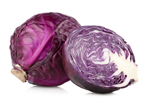 256355.jpg