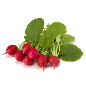 RZODKIEWKI ŚWIEŻE BIO (POLSKA) (około 0,20 kg)