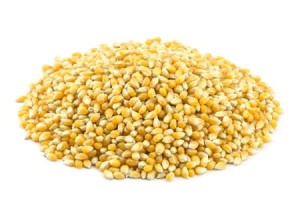 POPCORN (ZIARNO KUKURYDZY) BIO (SUROWIEC) (25 kg) 2