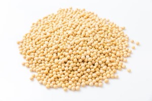 SOJA BIO (SUROWIEC) (25 kg) 7