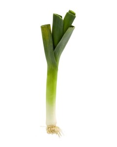 OPAKOWANIE ZBIORCZE (kg) - POR ŚWIEŻY BIO (POLSKA) (około 5 kg)