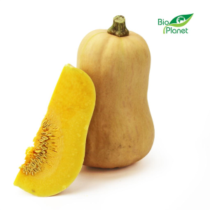 OPAKOWANIE ZBIORCZE (kg) - DYNIA PIŻMOWA (BUTTERNUT) ŚWIEŻA BIO (POLSKA) (około 10kg)