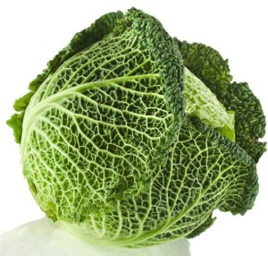 KAPUSTA WŁOSKA ŚWIEŻA BIO (około 0,50 kg)