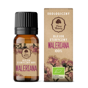OLEJEK ETERYCZNY WALERIANA BIO 10 ml - DARY NATURY