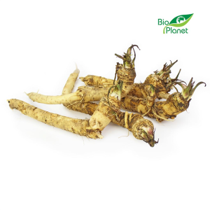 CHRZAN ŚWIEŻY BIO (POLSKA) (około 0,30 kg)