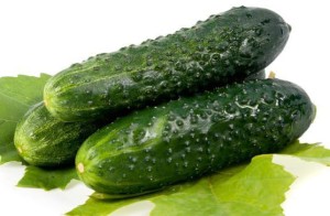 OPAKOWANIE ZBIORCZE (kg) - OGÓREK GRUNTOWY ŚWIEŻY BIO (POLSKA) (około 5 kg)