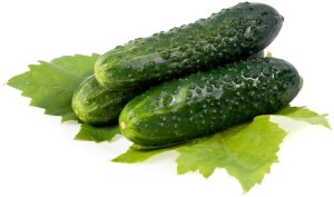 OGÓREK GRUNTOWY ŚWIEŻY BIO (POLSKA) (około 1,00 kg)