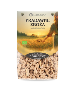 MAKARON (Z SAMOPSZY RAZOWY) FALA BIO 250 g - BARTOLINI (PRADAWNE ZBOŻA)
