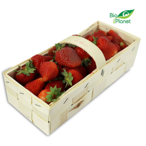 przecena TRUSKAWKA ŚWIEŻA BIO (POLSKA) (opakowanie około 2,00 kg)