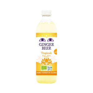 PIWO IMBIROWE O SMAKU OWOCÓW TROPIKALNYCH BEZALKOHOLOWE FAIR FOR LIFE BIO 750 ml - KARMA