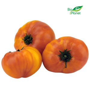 OPAKOWANIE ZBIORCZE (kg) - POMIDORY ANANASOWE ŚWIEŻE BIO (POLSKA) (około 4 kg)