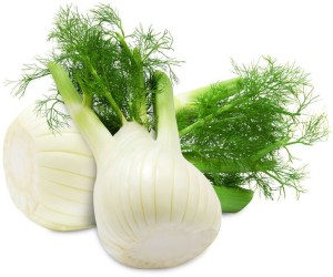 OPAKOWANIE ZBIORCZE (kg) - KOPER WŁOSKI ŚWIEŻY (FENKUŁ) BIO (POLSKA) (około 3 kg )