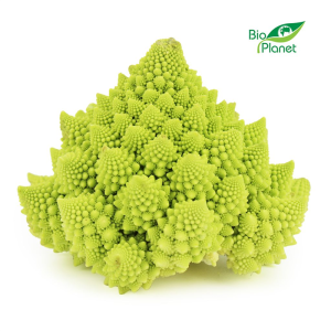 OPAKOWANIE ZBIORCZE (szt.) - KALAFIOR ROMANESCO ŚWIEŻY BIO (POLSKA) (około 8 szt.)