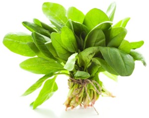 SZPINAK BABY ŚWIEŻY NIEMYTY BIO (około 0,10 kg)