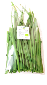 CEBULA ZE SZCZYPIORKIEM BIO (POLSKA) (około 0,12 kg)