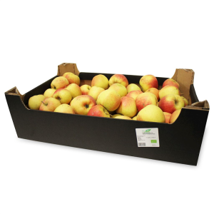 OPAKOWANIE ZBIORCZE (kg) - JABŁKA ŚWIEŻE BIO (RED PRINCE - POLSKA) (około 13 kg)