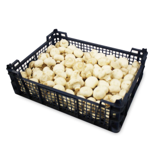 OPAKOWANIE ZBIORCZE (kg) - PIECZARKI BIAŁE ŚWIEŻE BIO (POLSKA) (około 3 kg)