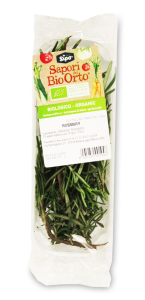 ROZMARYN ŚWIEŻY BIO (około 25 g)