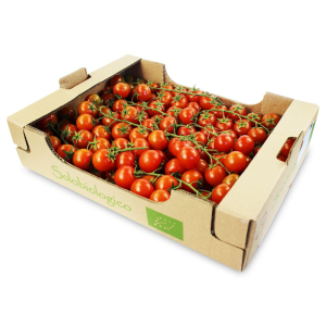 OPAKOWANIE ZBIORCZE (kg) - POMIDORY CHERRY NA GAŁĄZCE ŚWIEŻE BIO (około 3 kg)