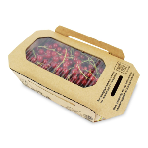 PORZECZKI CZERWONE ŚWIEŻE BIO (POLSKA) (około 0,20 kg)