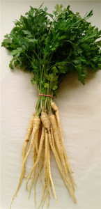 PIETRUSZKA Z NACIĄ ŚWIEŻA BIO (POLSKA) (około 0,20 kg)