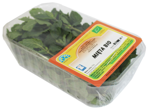 MIĘTA ŚWIEŻA BIO (POLSKA) (około 50 g)