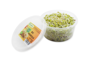 KIEŁKI BROKUŁA ŚWIEŻE BIO (około 50 g)