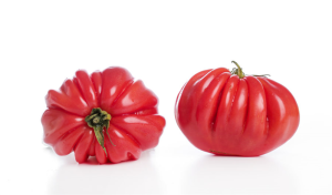 POMIDORY REBELLION ŚWIEŻE BIO (około 0,75 kg)