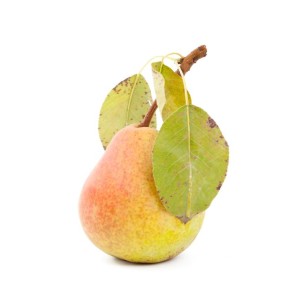 OPAKOWANIE ZBIORCZE (kg) - GRUSZKI ŚWIEŻE BIO (około 7 kg)