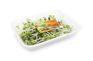 KIEŁKI SŁONECZNIKA ŚWIEŻE BIO (około 50 g)