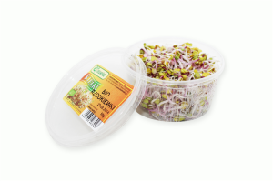 KIEŁKI RZODKIEWKI ŚWIEŻE BIO (około 50 g)