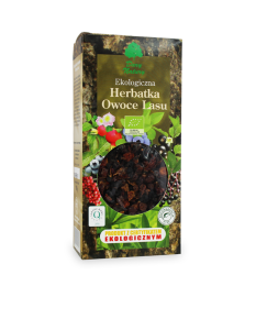 HERBATKA OWOCE LASU BIO 100 g - DARY NATURY
